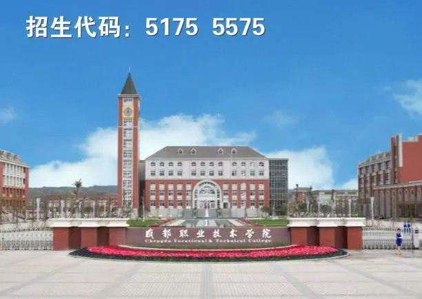 四川单招“文化艺术”大类相关专业及院校推荐