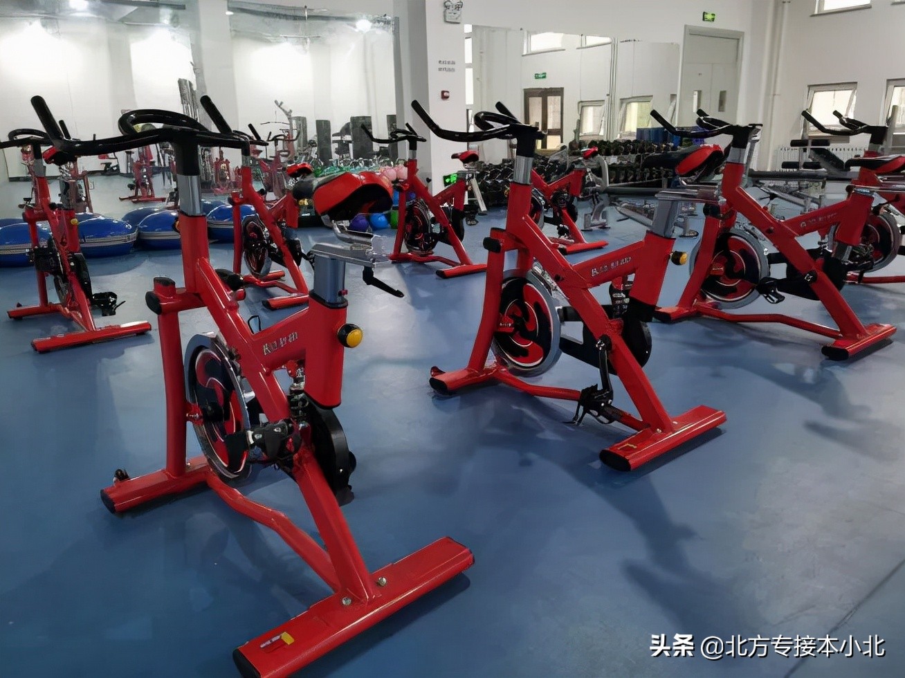 沧州师范学院：招生比2020年招生减少了200人