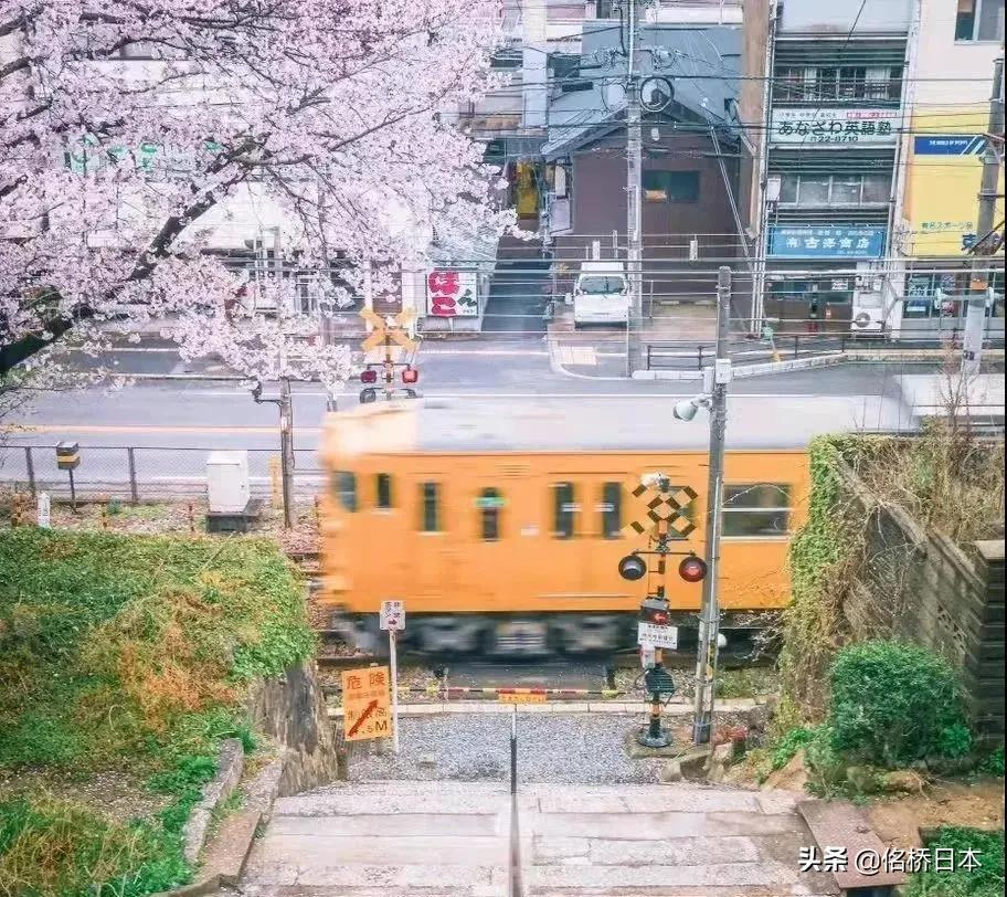 读语言学校就能被保送进日本大学？这是真的吗？