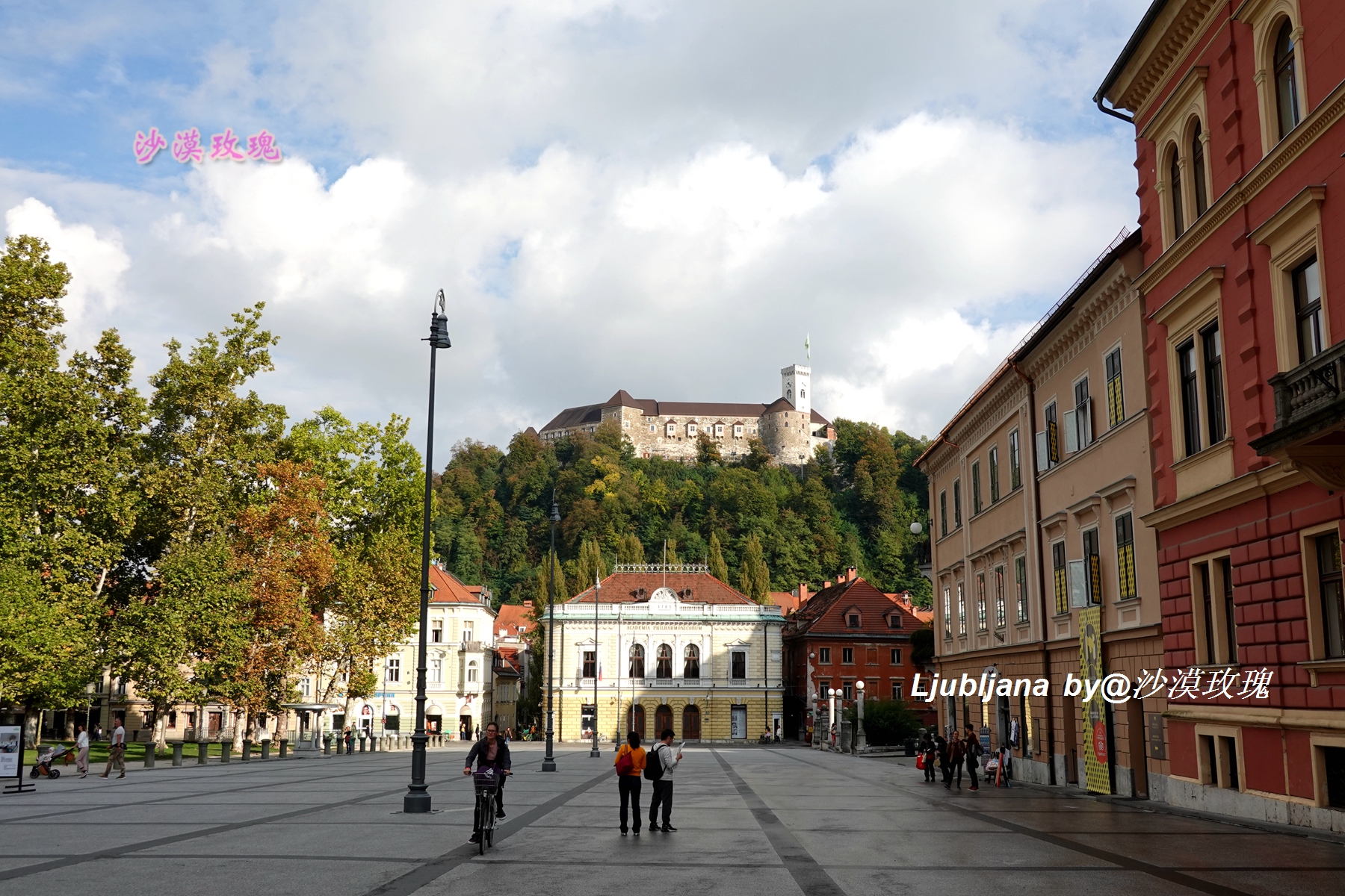 国度是什么意思 国度的近义词是什么-诚智百科网