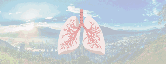 下水管堵了？马桶也塞了？保洁阿姨教你一招，5秒疏通一切通道