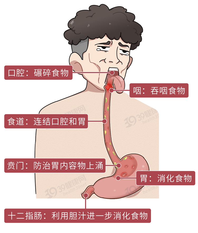 胃病烧心反酸症状及治疗方法详解