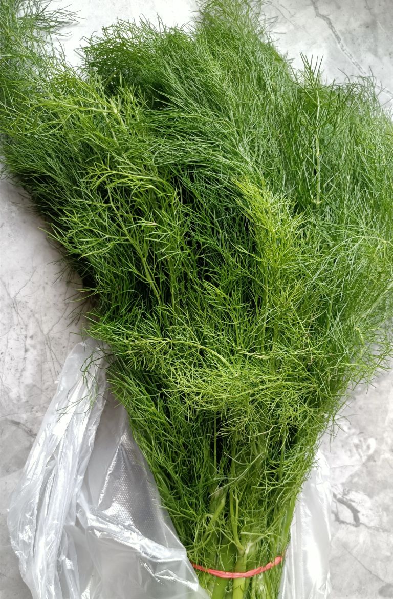 茴香这样吃,才是人间美味