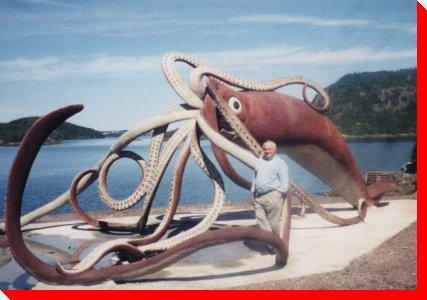 世界上最大的乌贼——大王乌贼,最大的可长达20米以上