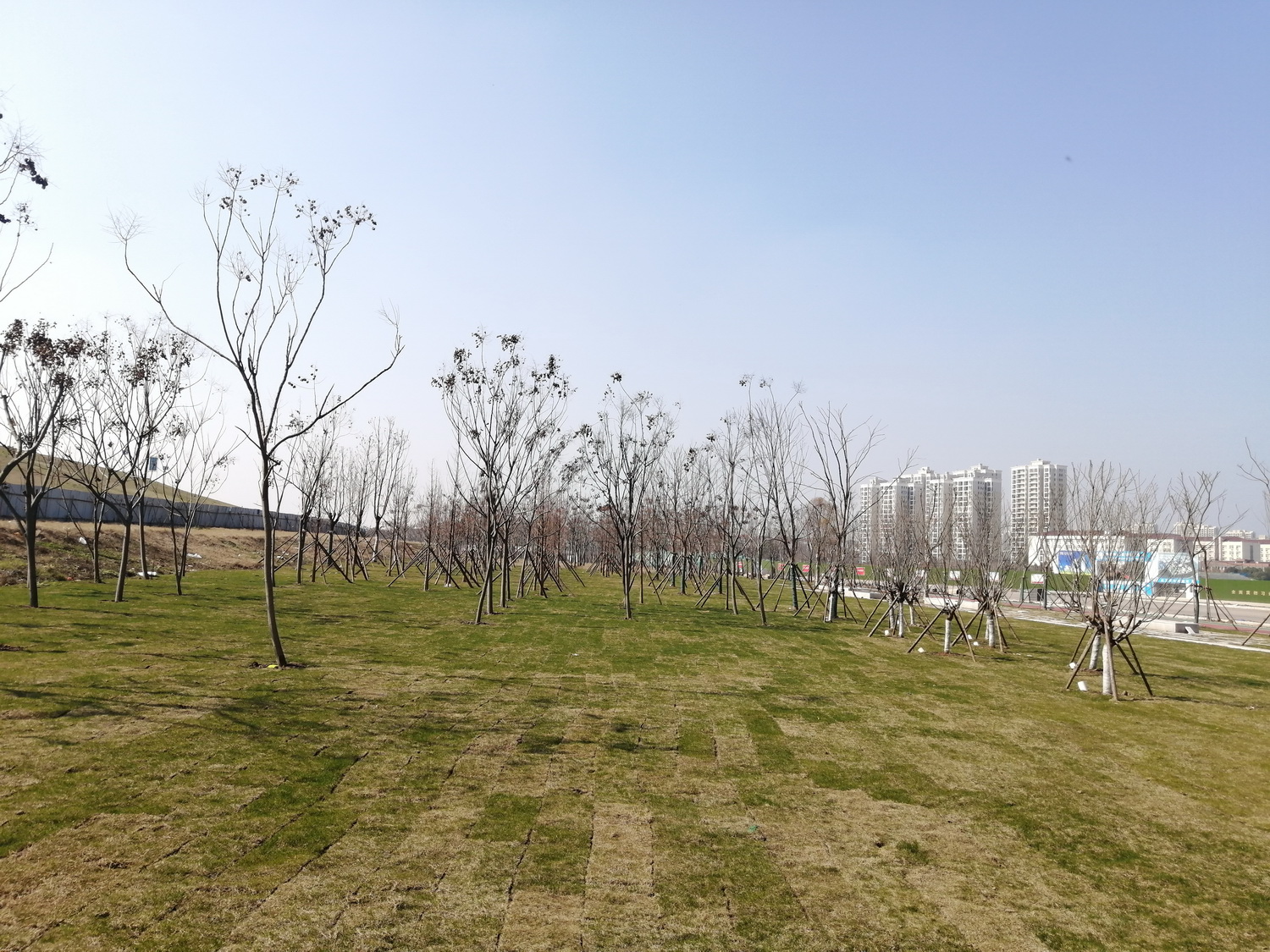 长江大学新校区进展很快，部分建筑已至地面3层，配套也在完善中