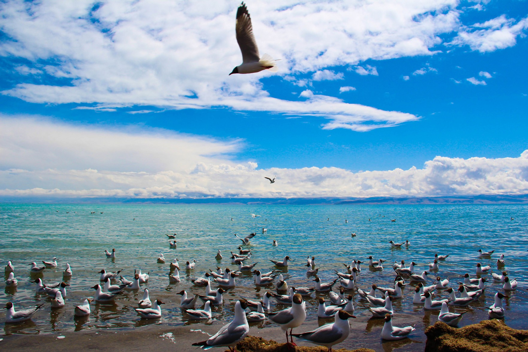 青海湖面积连续18年增加,水是哪来的?为何说不全是好事