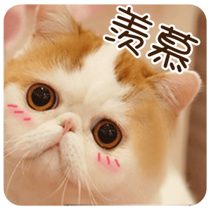 2019萌新“驾到”，中国药科大学带你直击现场！