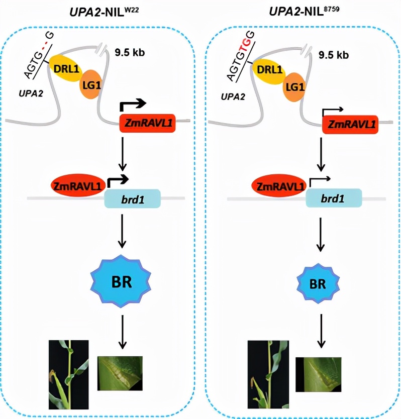 从被制约到领先国际，这所“国字号”大学创下多个“首次”，打破国外垄断！