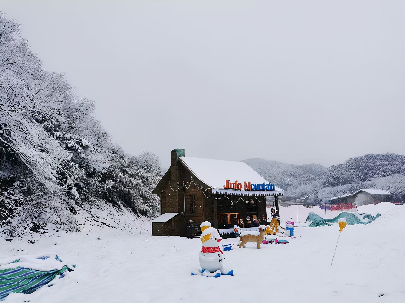 冬雪落下的刹那，金佛山美成了童话！