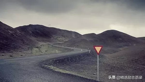 风骚哲思：经典语句中的智慧与幽默交织
