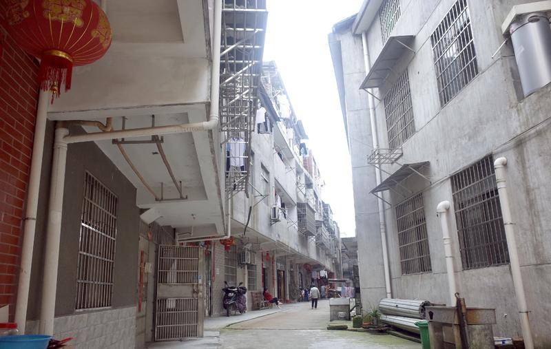 “陪读小镇”上，那些被高考神话捆绑的妈妈们