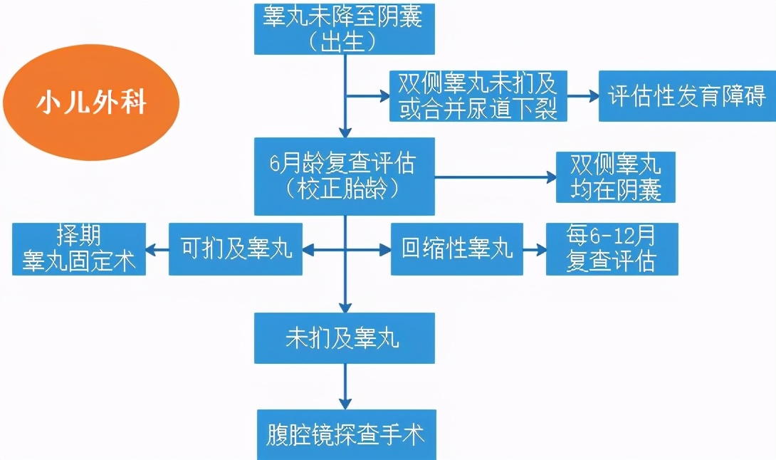 小儿隐睾手术伤口图片(100个男婴中至少有2个没有) - 赤虎壹号