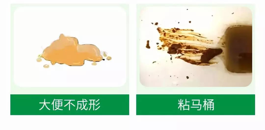 体内湿气太重，祛湿中药怎么选？祛湿药材大盘点