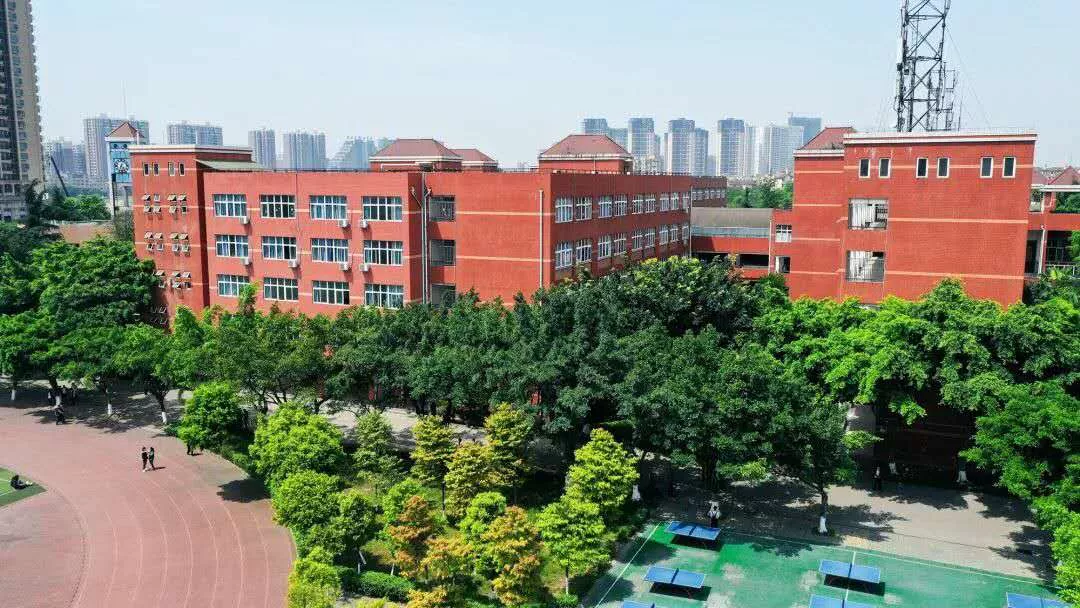 小升初可直升！新政之下，成都38所热门民办一贯制学校最全盘点