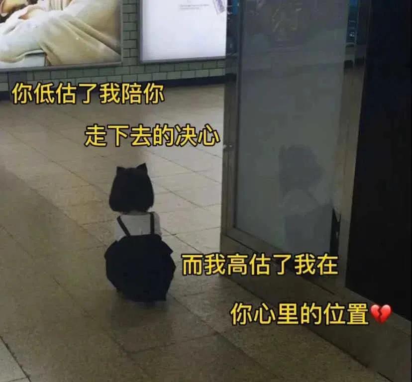 表情包：对不起，我对男人过敏