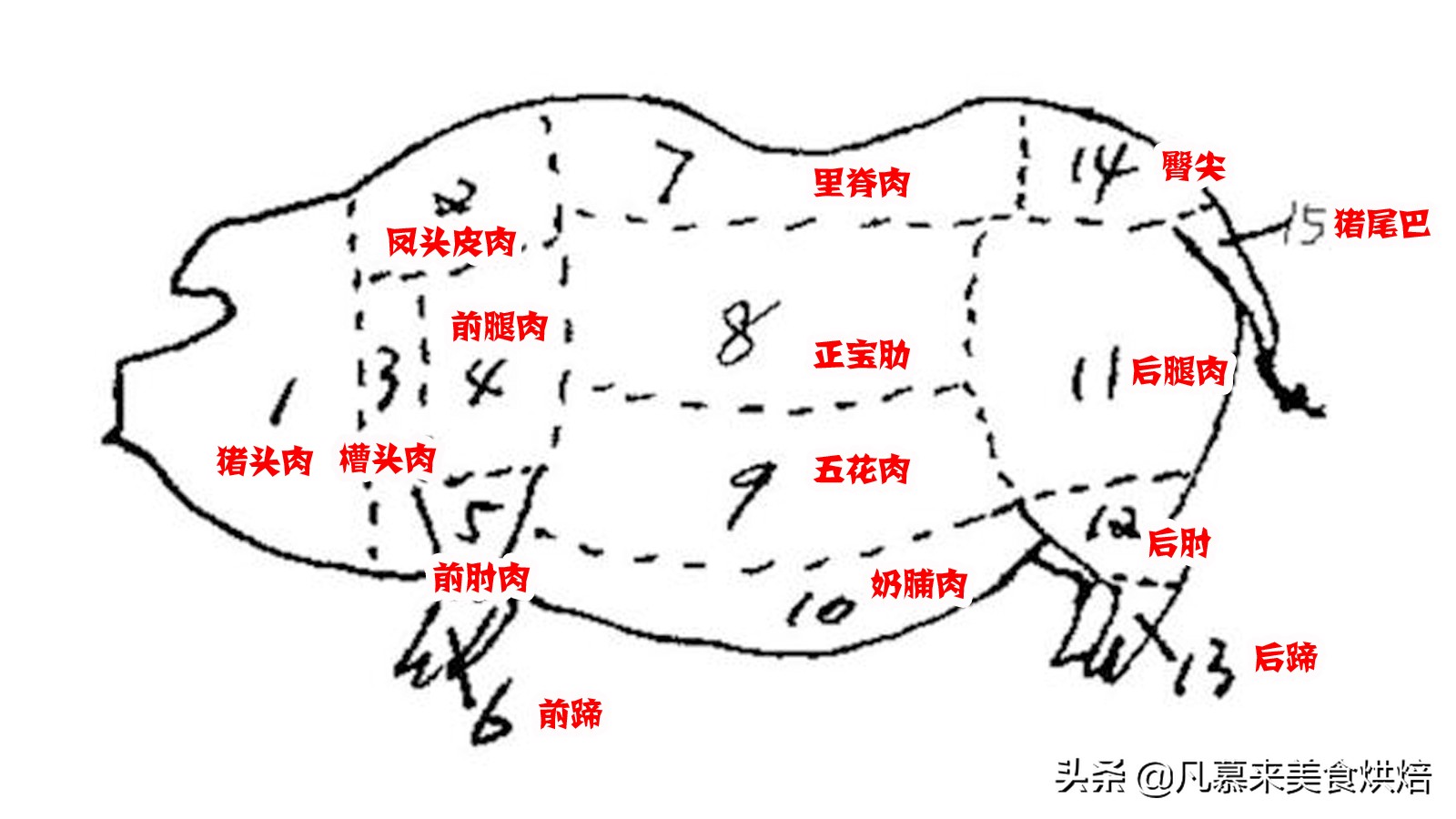 猪肉各部位图解与介绍,终于会选肉了