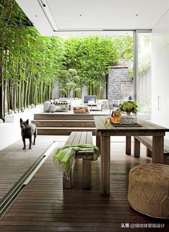 庭院景观设计:庭院中常用的几种竹子
