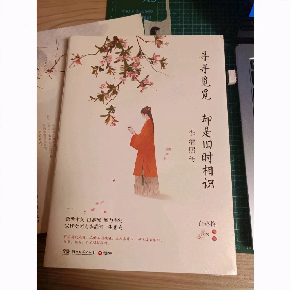 白落梅《寻寻觅觅 却是旧时相识：李清照传》，唯美的一本书