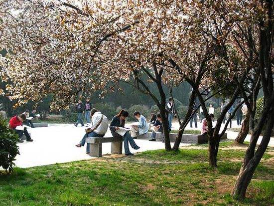 二本分数可上的5所一本大学