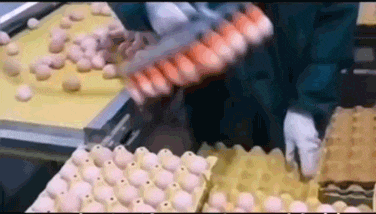 "验孕棒上出现这个图案, 这是怀了个啥? "网友神回复亮了哈哈哈哈