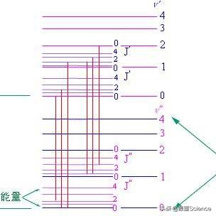 核磁共振成像原理（世界上最尖端的医学设备）