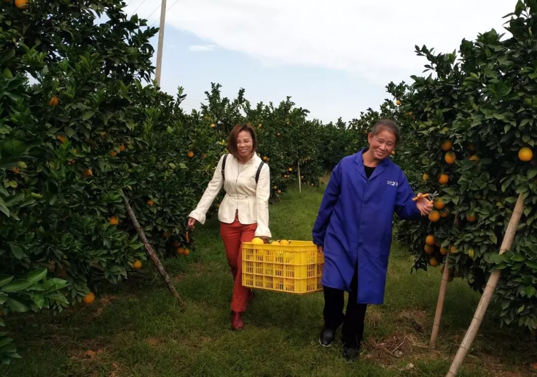 国家级名单公布！赣州占据9席！