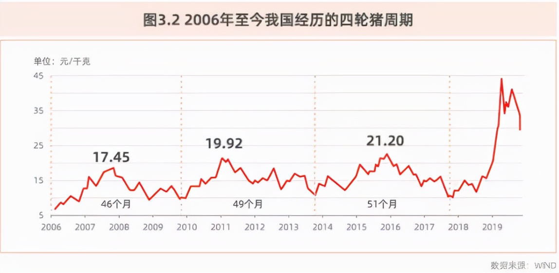 “收储”政策调控 生猪回暖仅为昙花一现？