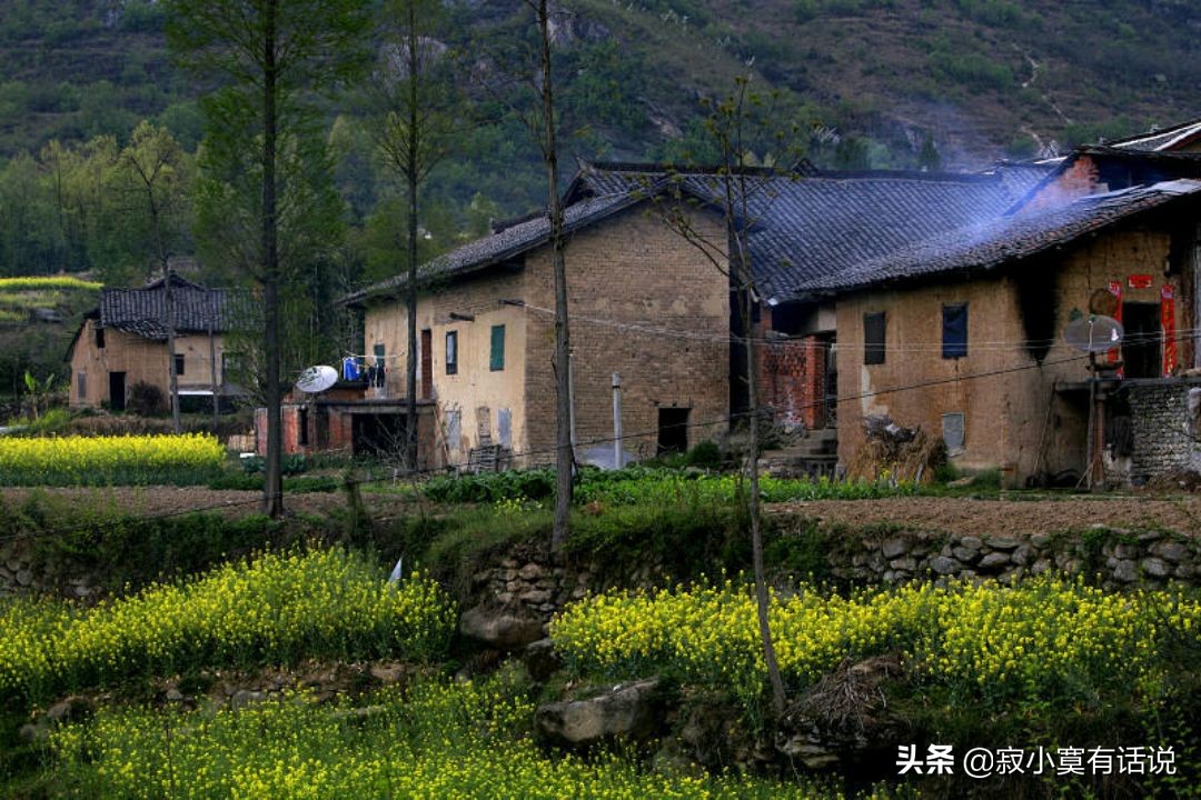 雨中的秋天（慢慢品读）