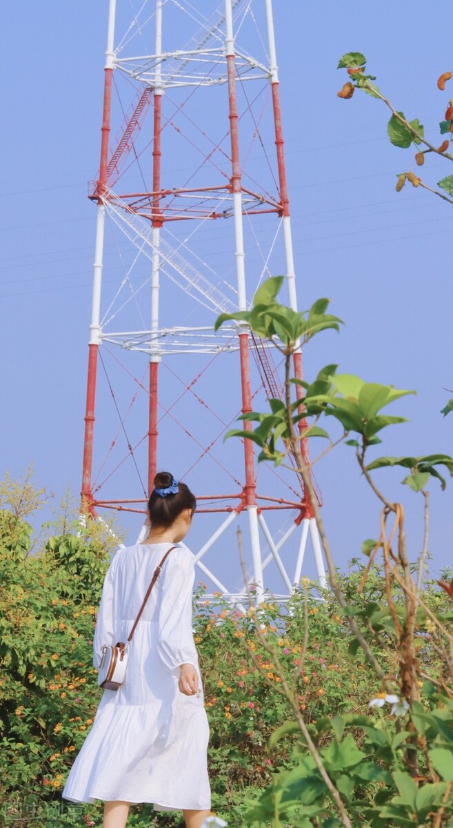 这个自嘲只有夏天的省份，私藏了中国最丰满秋色，11、12月靓爆镜