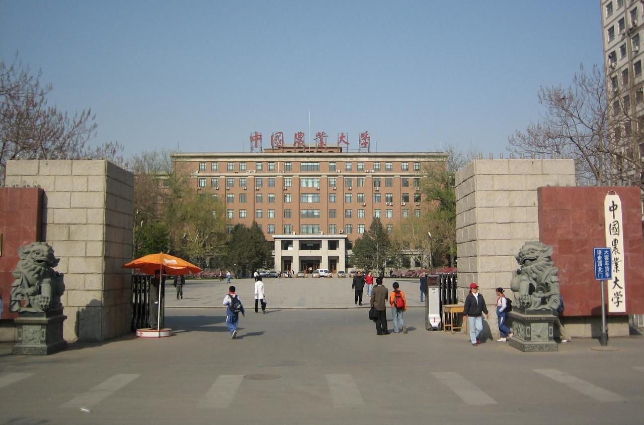 2020考生：这5所985高校，地理位置优越，相对录取分低！值得报考