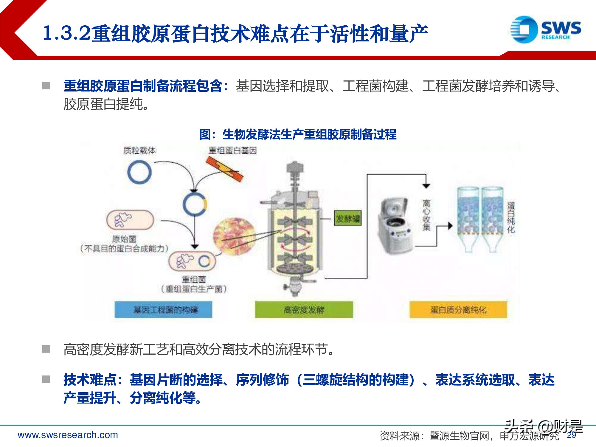 胶原蛋白行业深度研究报告：生物医药材料下一个风口