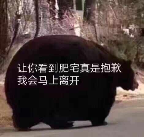 搞笑表情包图片：妹妹，来喝交杯酒