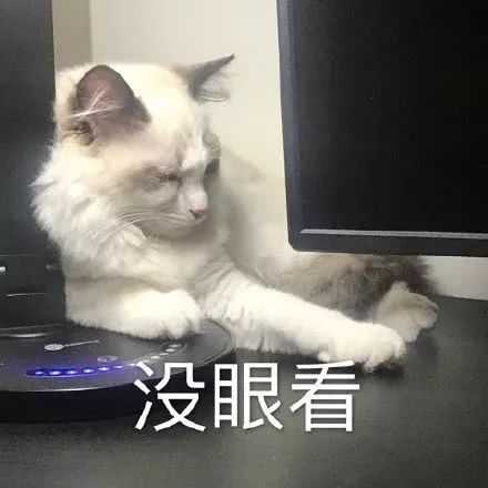 猫咪表情包｜哦，关我屁事