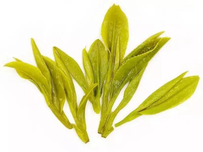 好茶葉怎么挑？跟大師學會這一招，避免買茶踩坑
