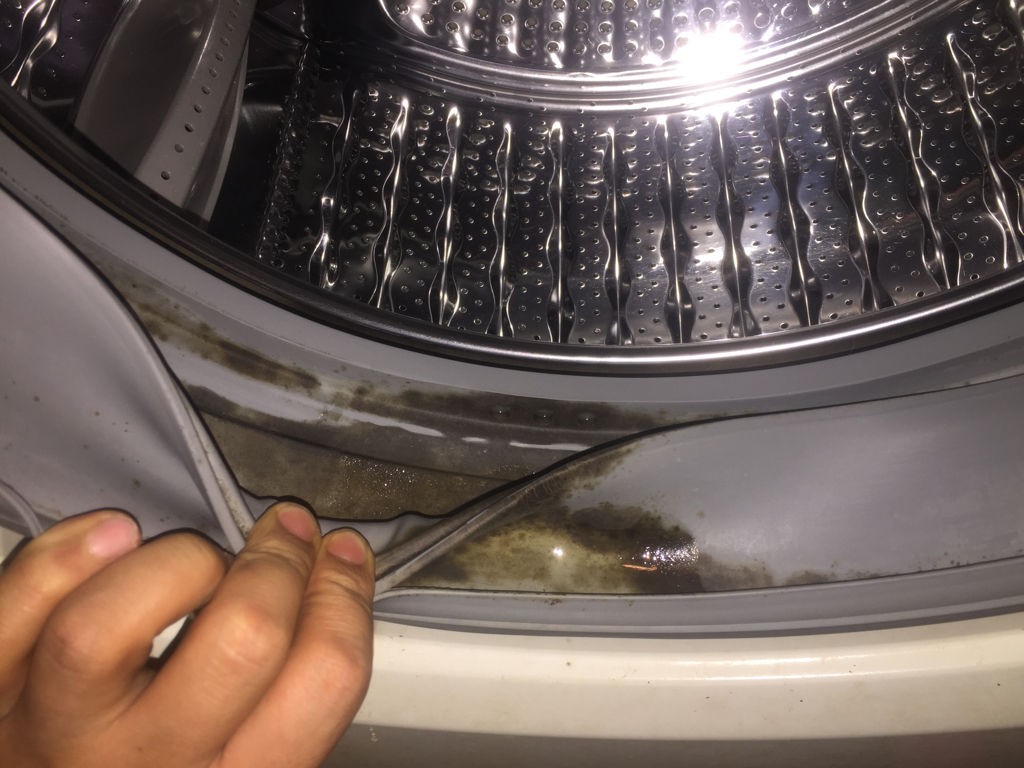 洗衣机太脏也会影响健康，和阿姨学会清理方法，操作简单还实用