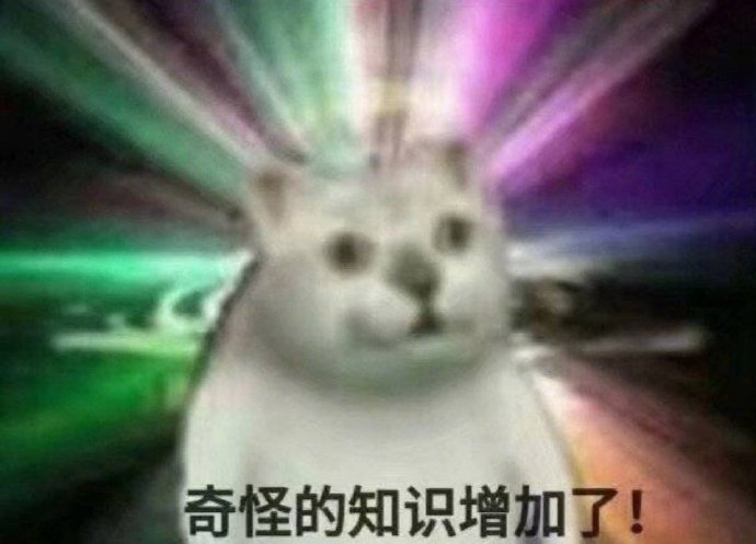 憨憨猫表情包合集｜奇怪的知识增加了