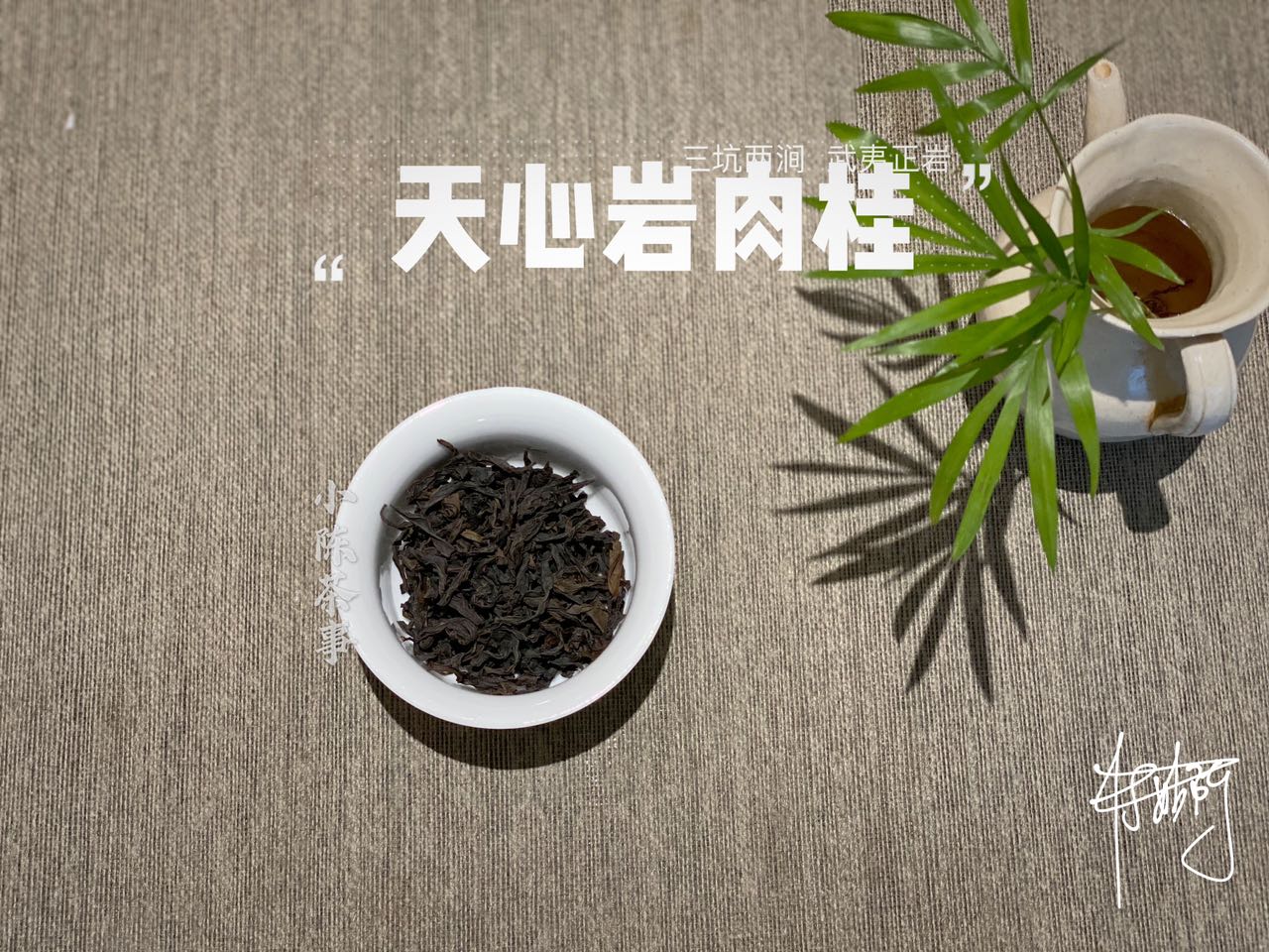 老丛水仙、古树白茶、老树绿茶，泛滥的老丛茶市场，哪些才是真？