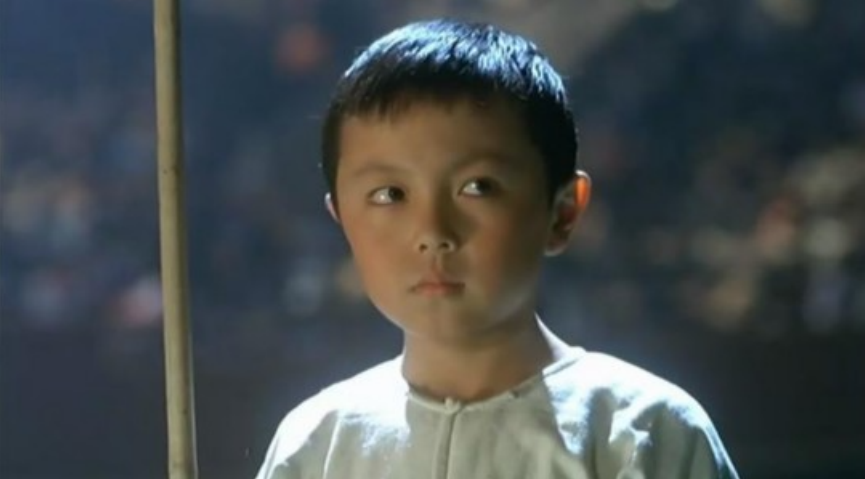 十大童星现状，有的成一线明星，有的沦为阶下囚，有的被万众唾弃