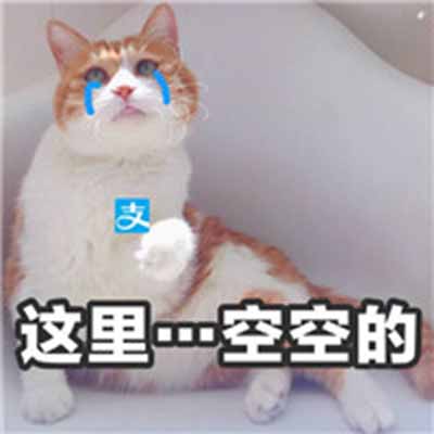 猫咪表情包：什么，你要帮我清空购物车