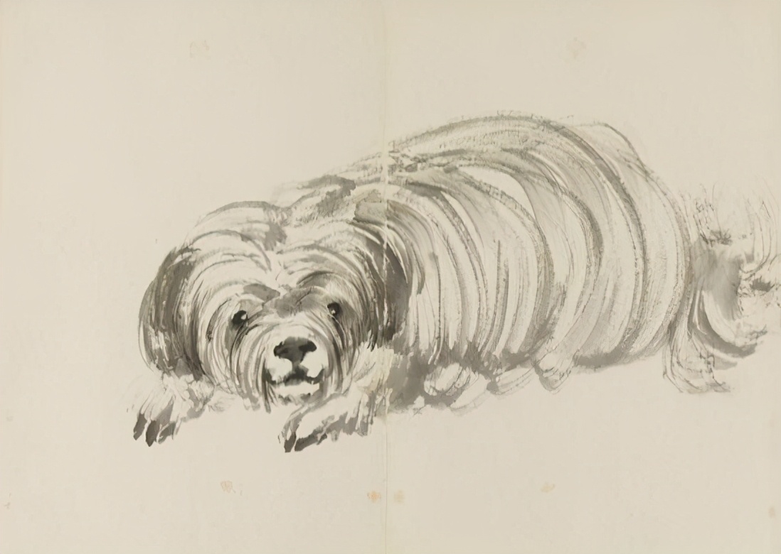 曰伏夜行的生肖生肖之谜为什么所有人都讨厌的老鼠能在生肖动物中排名