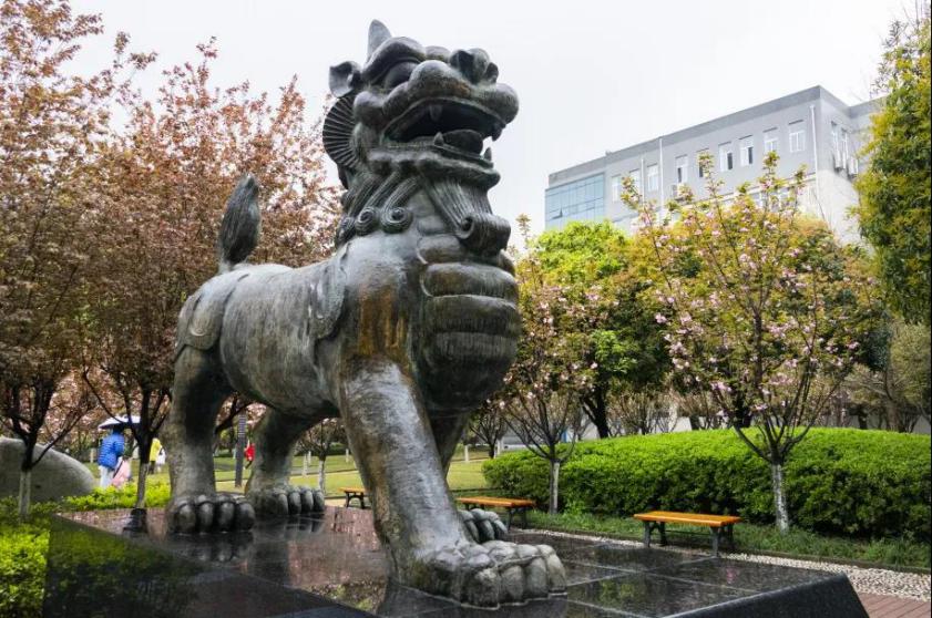 2020年高考志愿填报看过来！10个问题，教你如何报考西南政法大学！