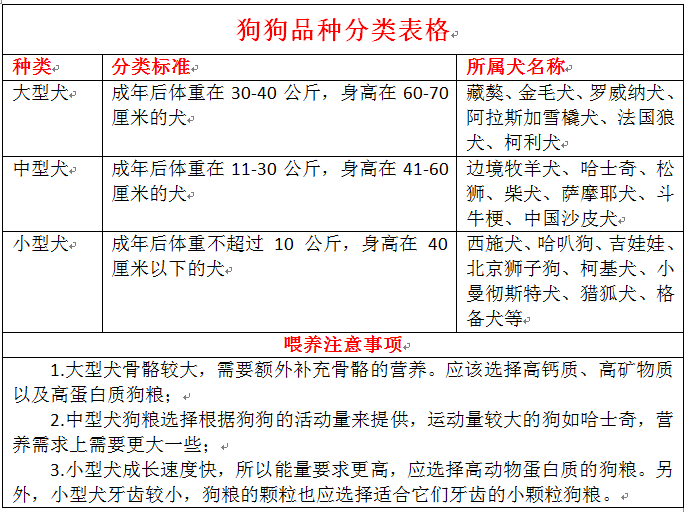 辟谣，狗生一崽不好吗？其实狗狗生崽数量和品种有关系