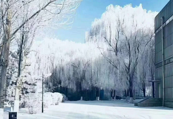 这所大学名气不大，但有很多的“阔亲戚”，毕业生就业很有优势