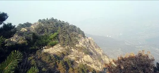 日寇疯狂扫荡，八路军干部被老乡带到一悬崖边：你快下去躲躲