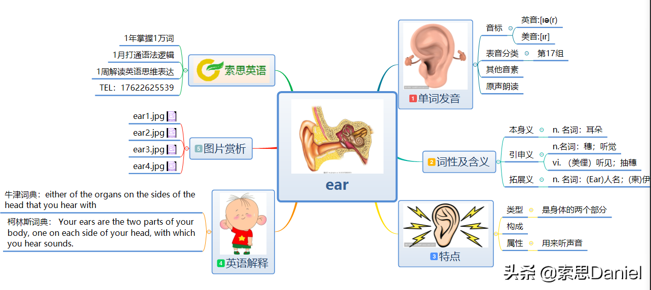 耳朵英语怎么读？索思英语解码单词发音技巧