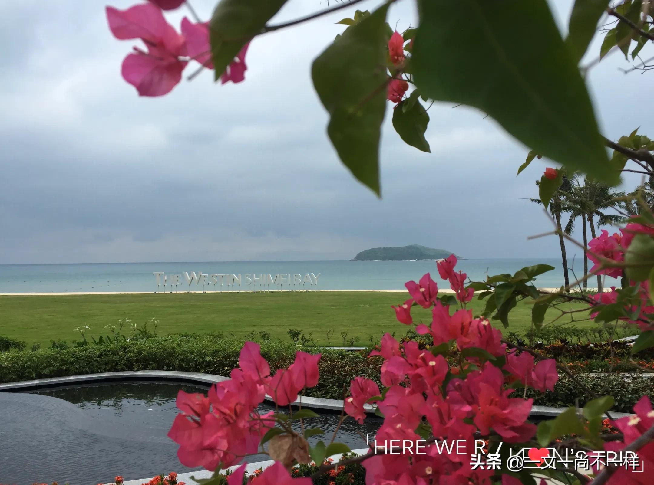 看！夏海的八万四千相好，环球浪过的终极海景集体照之中国海