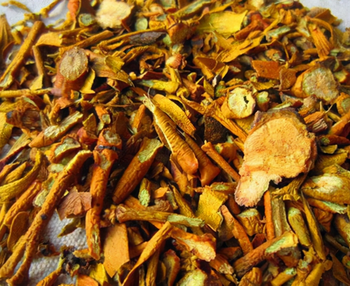 桑寄生的功效与作用(树上一种) - 行就行