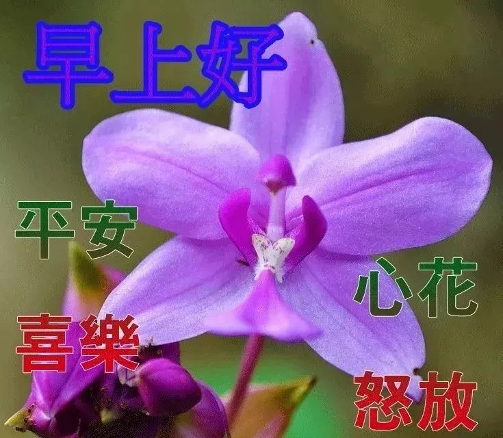 人生如车，或长途，或短途；人生如戏，或喜，或悲，早安