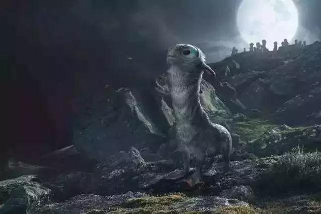 魔法世界里，十二星座对应什么神奇动物？