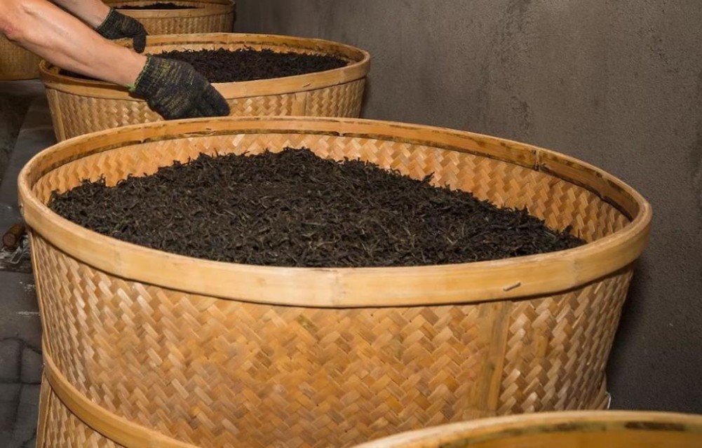 红茶和普洱茶,两者有什么区别